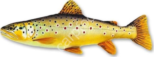 Polštář pstruh duhový 62cm (1)