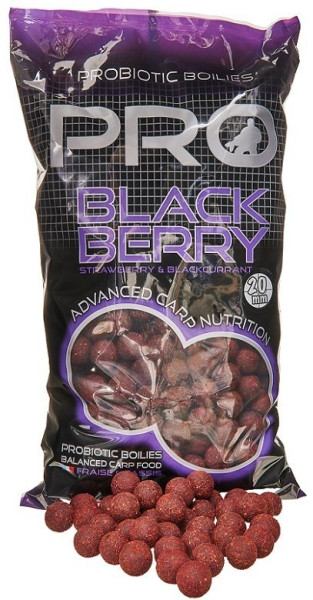 STARBAITS Boilies Probiotic Pro Blackberry 2,5kg / 14mm