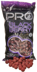 STARBAITS Boilies Probiotic Pro Blackberry 2,5kg / 14mm