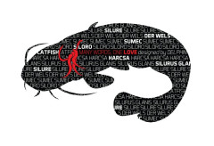 DELPHIN Nálepka SUMEC série Words