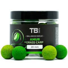 TB Baits Vyvážené Boilie Balanced + Atraktor Amur 100 g 20 mm