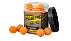 CARP SERVIS VÁCLAVÍK Boilies Balanc - 120 g/20 mm/Pikanter
