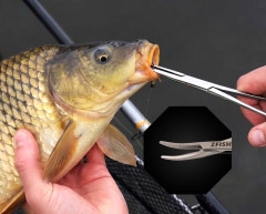 Pean Rovný Forceps Straight (1)
